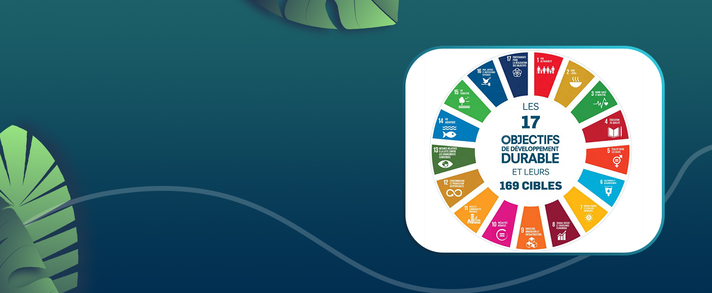 Échange stratégique FAO - CERD